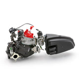 Rotax 125 Max DD2 Evo