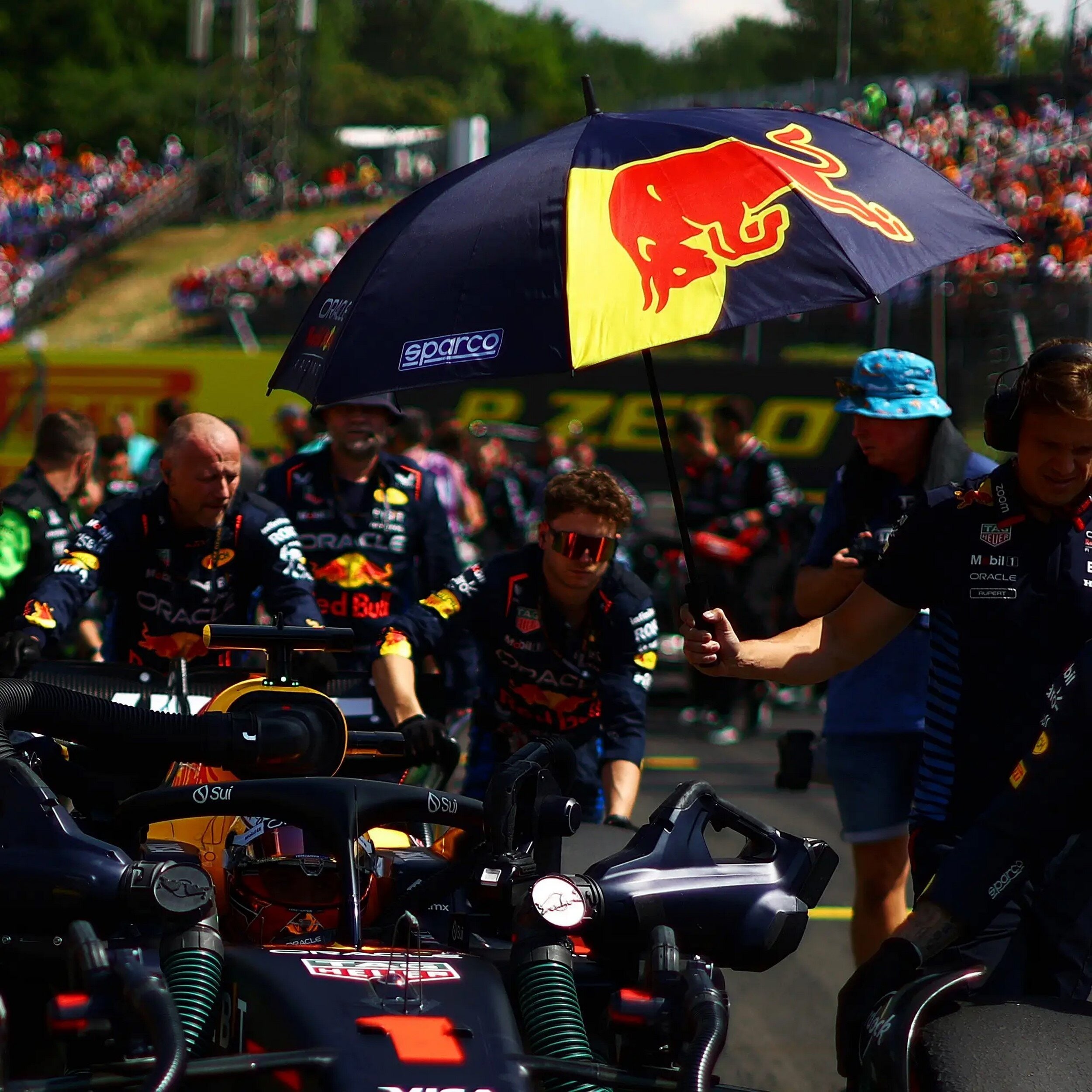 Sateenvarjo RedBull Racing
